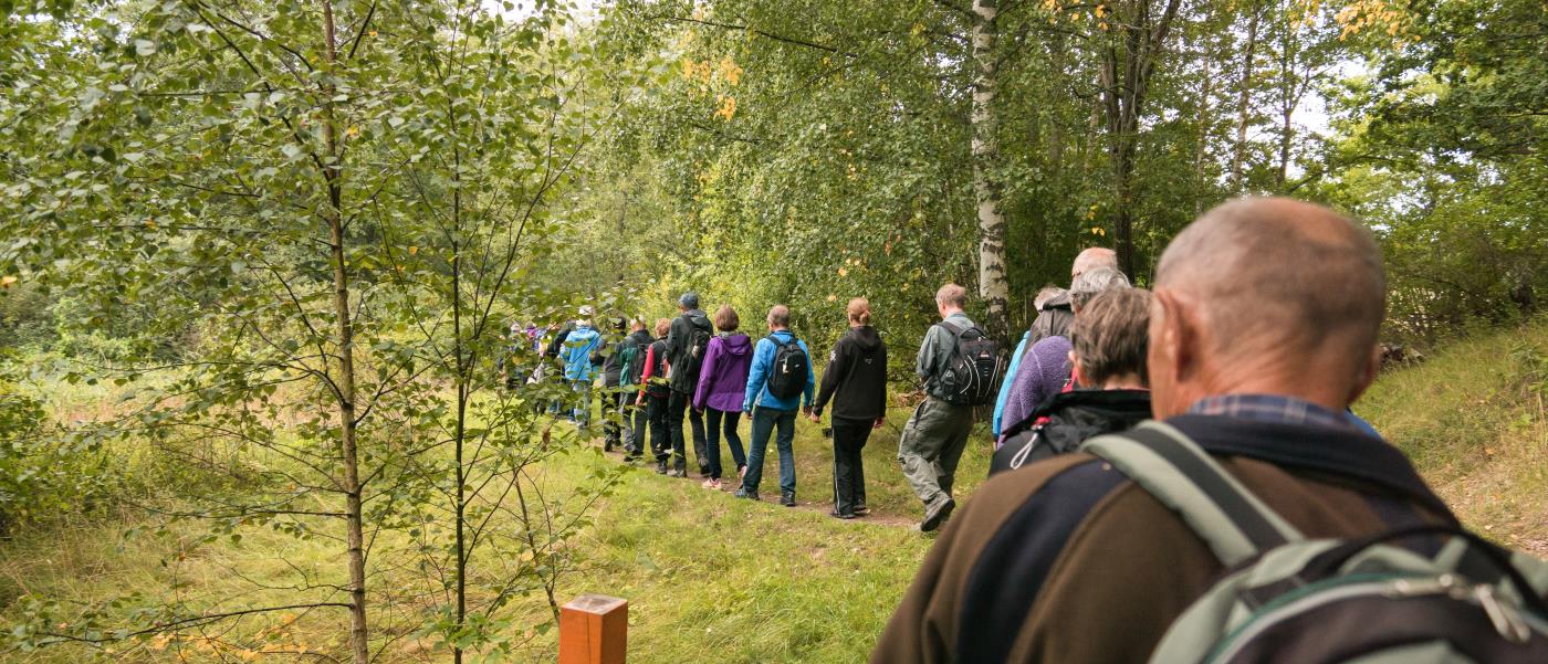 Ett led människor går på en stig bland lövträd.