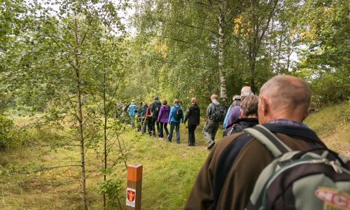 Ett led människor går på en stig bland lövträd.
