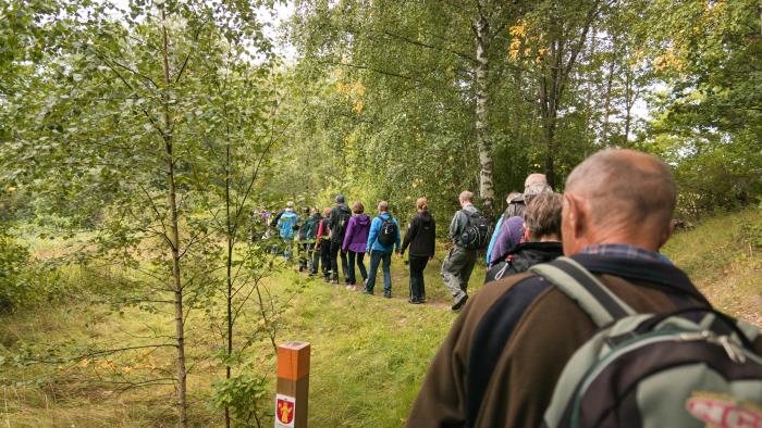 Ett led människor går på en stig bland lövträd.