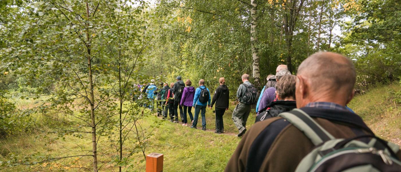 Ett led människor går på en stig bland lövträd.