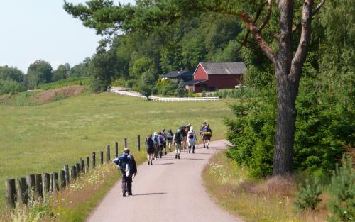 En grupp människor med ryggsäckar går på led på en liten väg.