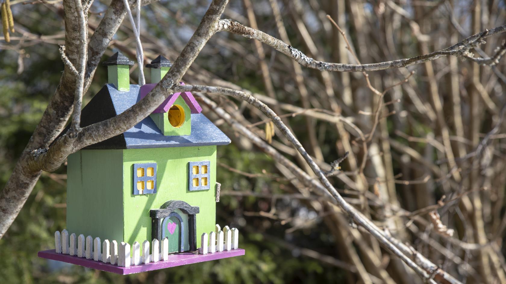 En färggrann fågelholk i form av ett hus hänger i ett träd.