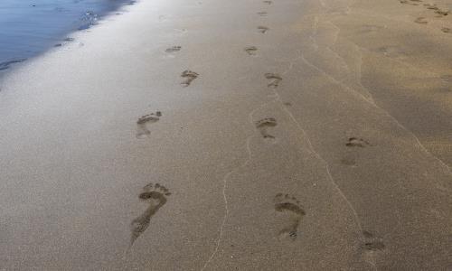 Fotspår i blöt sand.