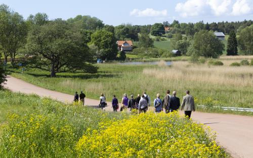 En grupp människor går på en grusväg en solig sommardag.