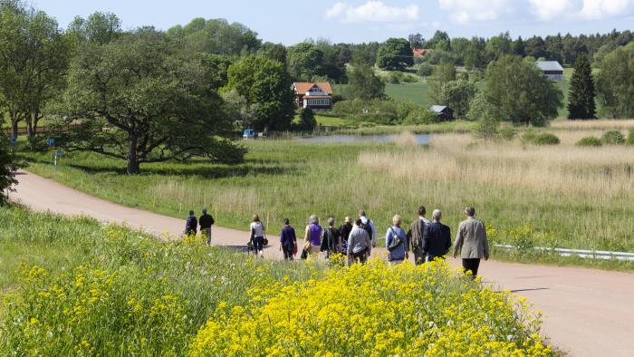 En grupp människor går på en grusväg en solig sommardag.