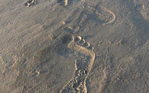 Fotspår i blöt sand.
