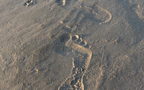 Fotspår i blöt sand.