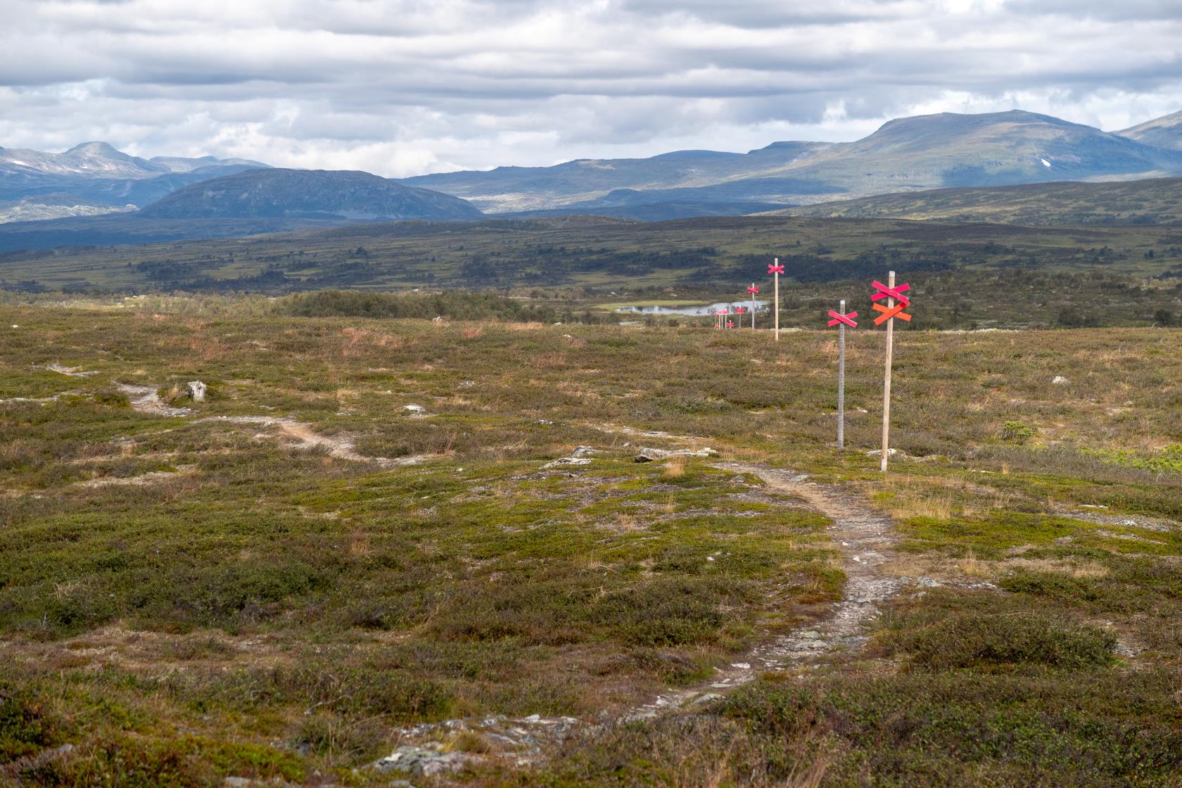 En vandringsled på fjället.