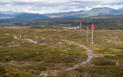 En vandringsled på fjället.