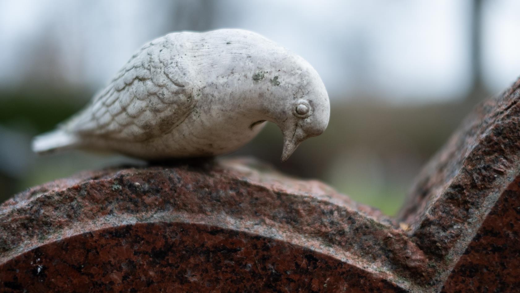 En fågel i sten står på en gravsten.