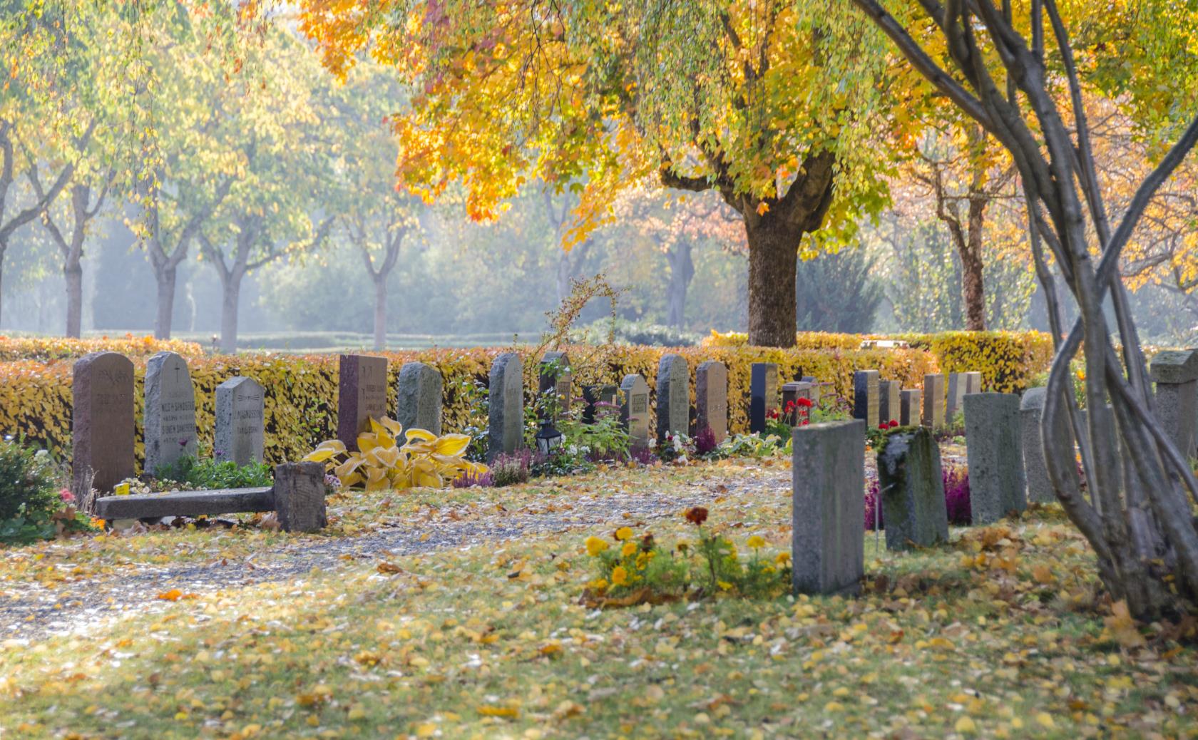 En kyrkogård i höstfärger.