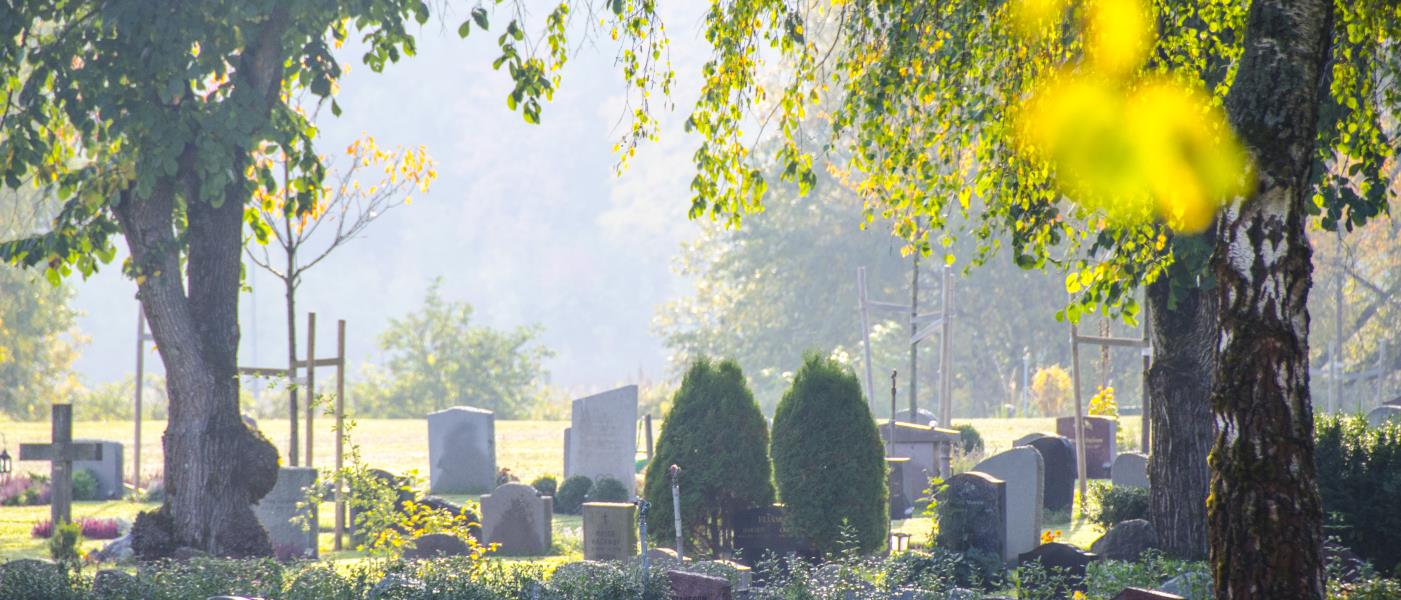 En kyrkogård i solsken.