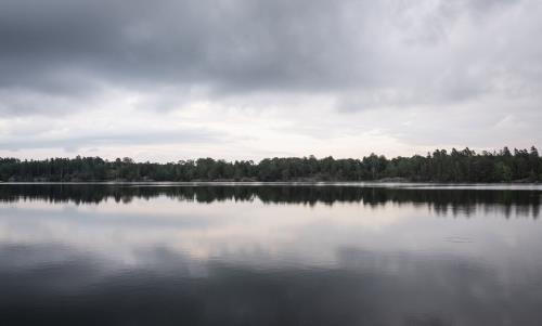 En stilla sjö omgärdad av skog.