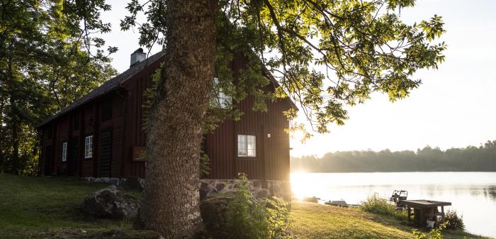 Sommarmorgon i Sverige i naturen.