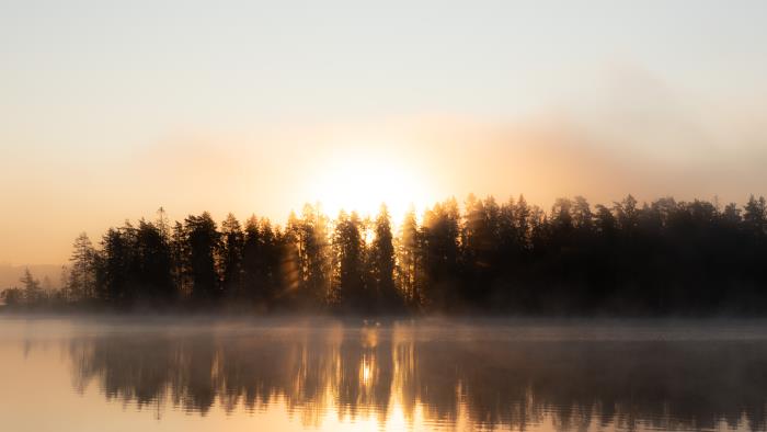 Gryning med soluppgång bakom skogen. Dimslöjor dansar på sjön.