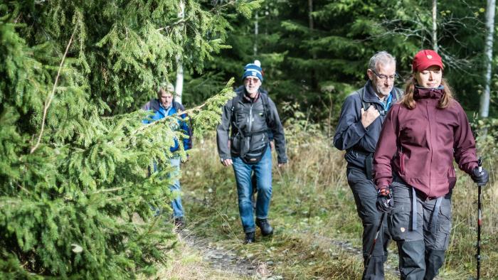 En grupp människor är ute och vandrar i skogen.