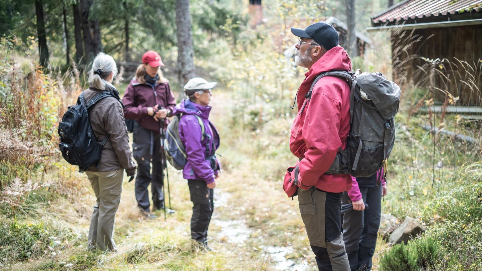 En grupp människor med ryggsäckar har stannat till i skogen.