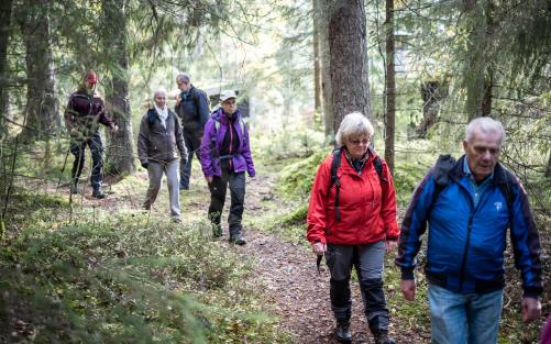 En grupp människor vandrar på led längs en stig genom skogen.