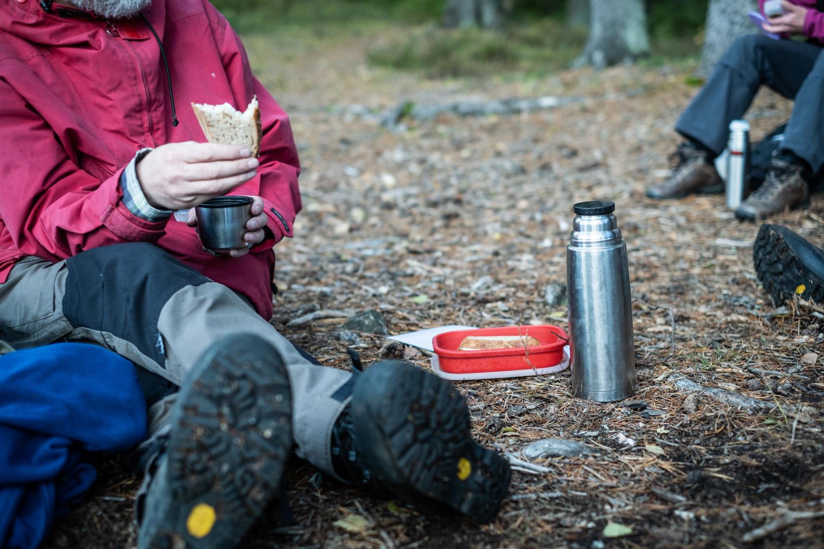 Någon sitter på marken i skogen och fikar.