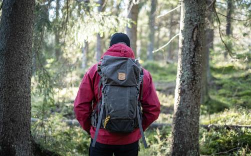 En man med ryggsäck vandrar i tallskogen.