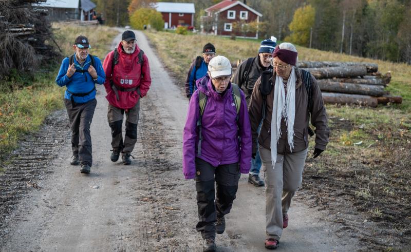 En grupp äldre människor vandrar tillsammans på en lerig väg.