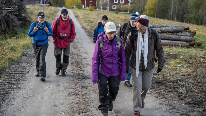 En grupp äldre människor vandrar tillsammans på en lerig väg.