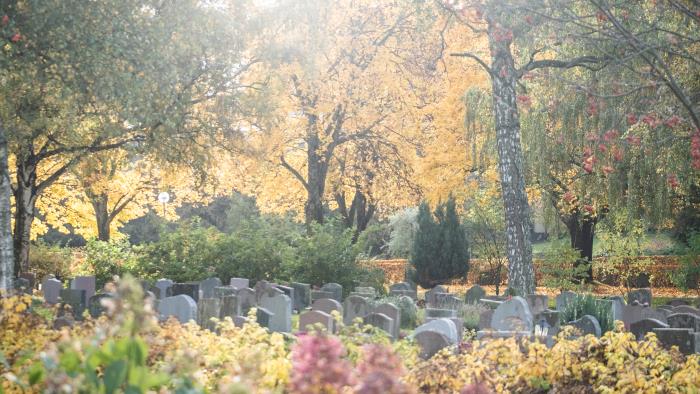 En höstfärgad kyrkogård.