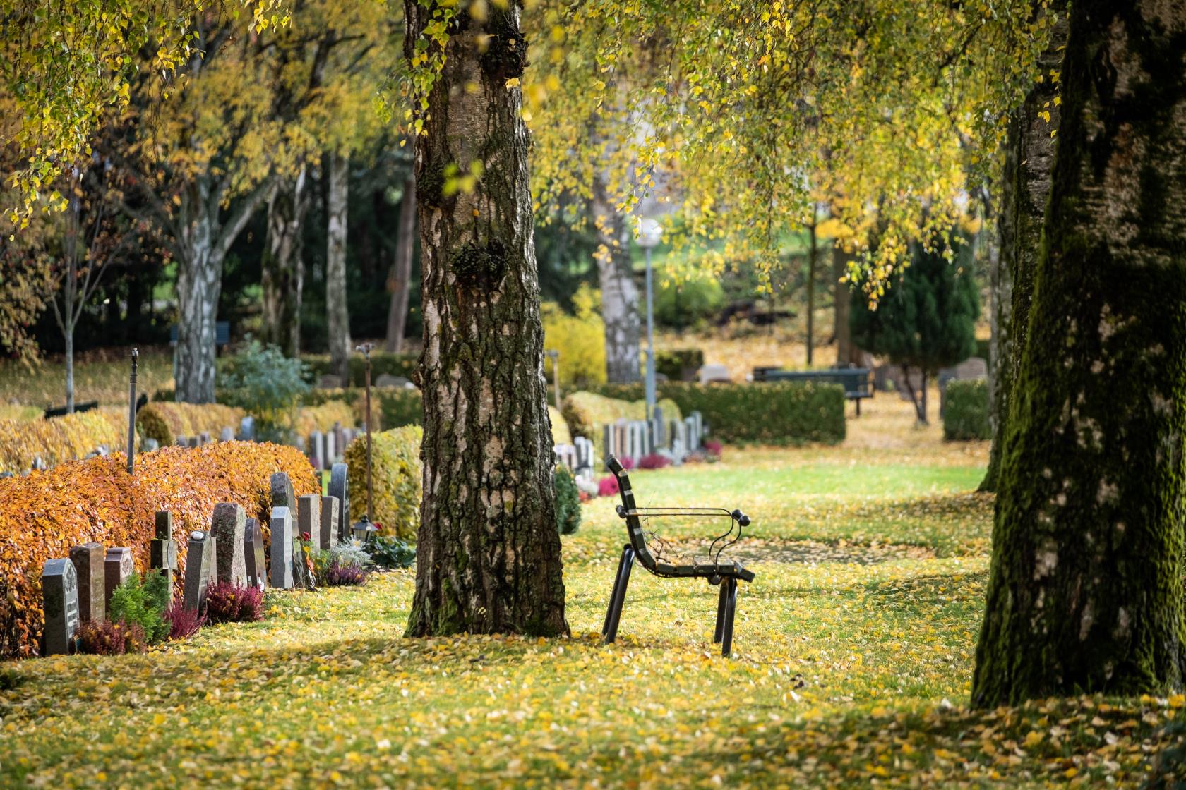 Höstlöven har börjat falla på en kyrkogård.