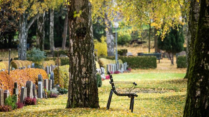 Höstlöven har börjat falla på en kyrkogård.