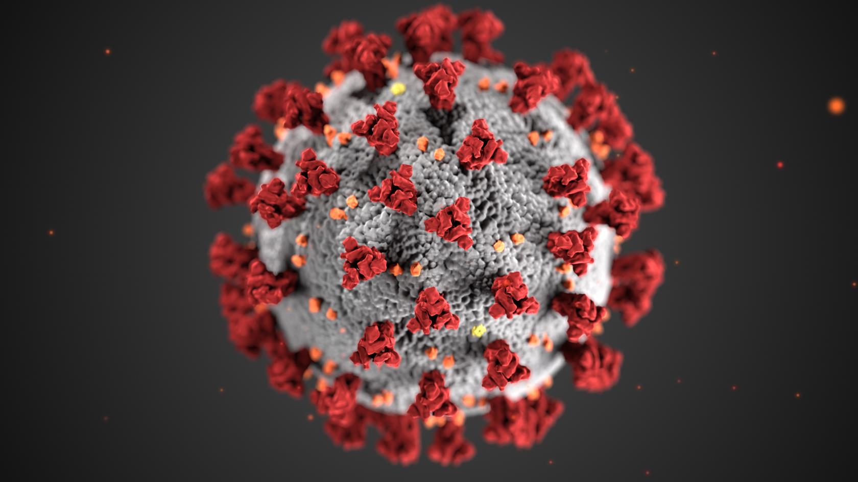 Närbild på coronavirus.