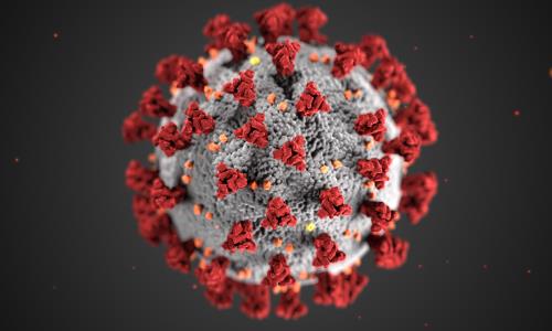 Bilden är nedladdad från Public health image library och får användas fritt