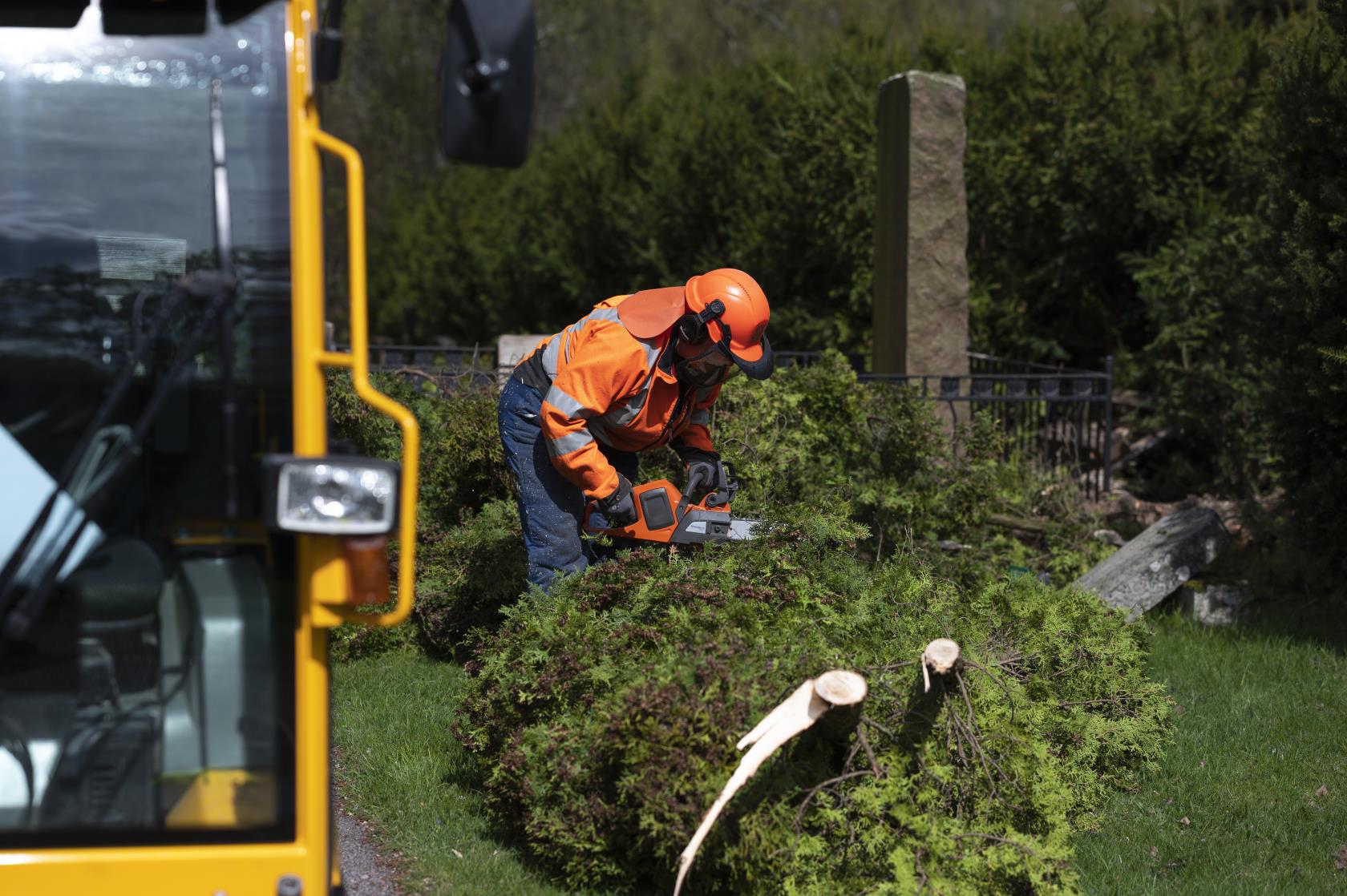 En kyrkogårdsarbetare sågar av ett nedhugget träd med en motorsåg.