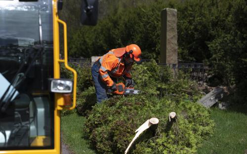 En kyrkogårdsarbetare sågar av ett nedhugget träd med en motorsåg.