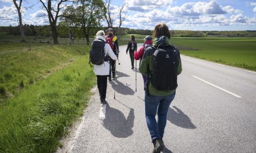 Pilgrimsvandring på Katarinaleden. Riseberga - Vadstena 18-24 maj 2020.