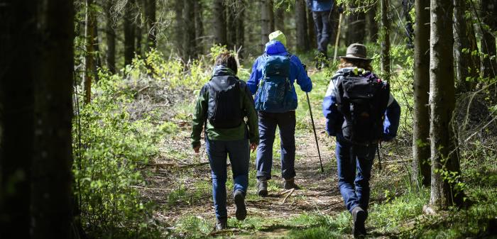 Pilgrimsvandring på Katarinaleden. Riseberga - Vadstena 18-24 maj 2020.
