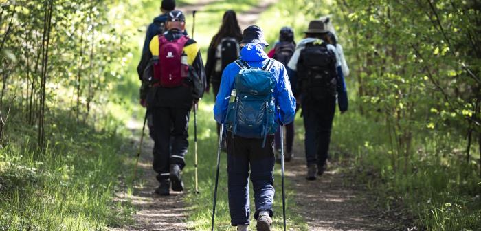 Pilgrimsvandring på Katarinaleden. Riseberga - Vadstena 18-24 maj 2020.