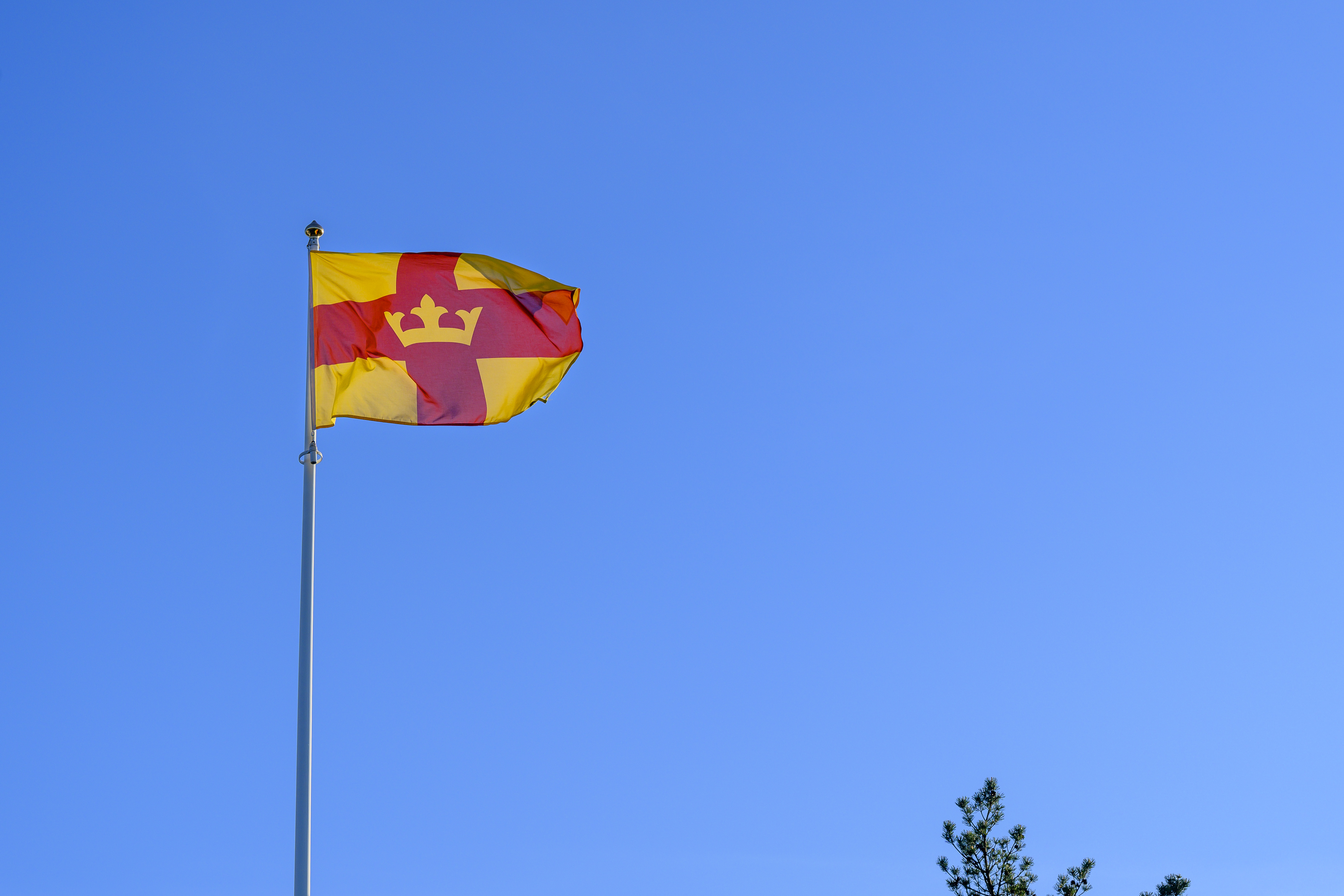 En flaggstång med Svenska kyrkans flagga hissad.