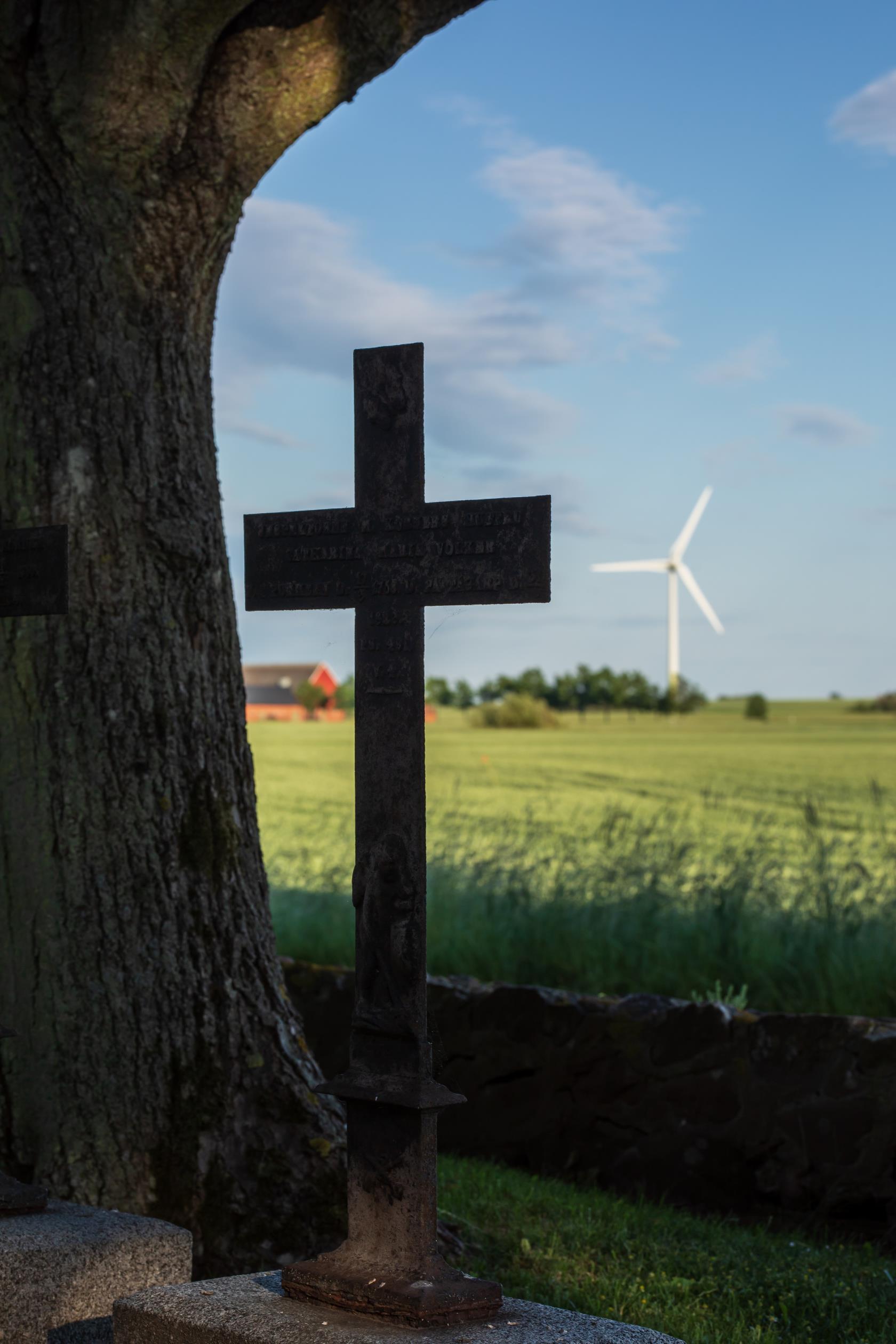 Ett metallkors står på en gravsten i skuggan av ett gammalt träd. I bakgrunden syns ett vindkraftverk.