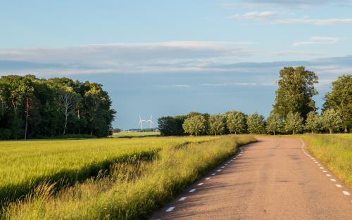 En liten asfalterad väg går genom sommarlandskapet.