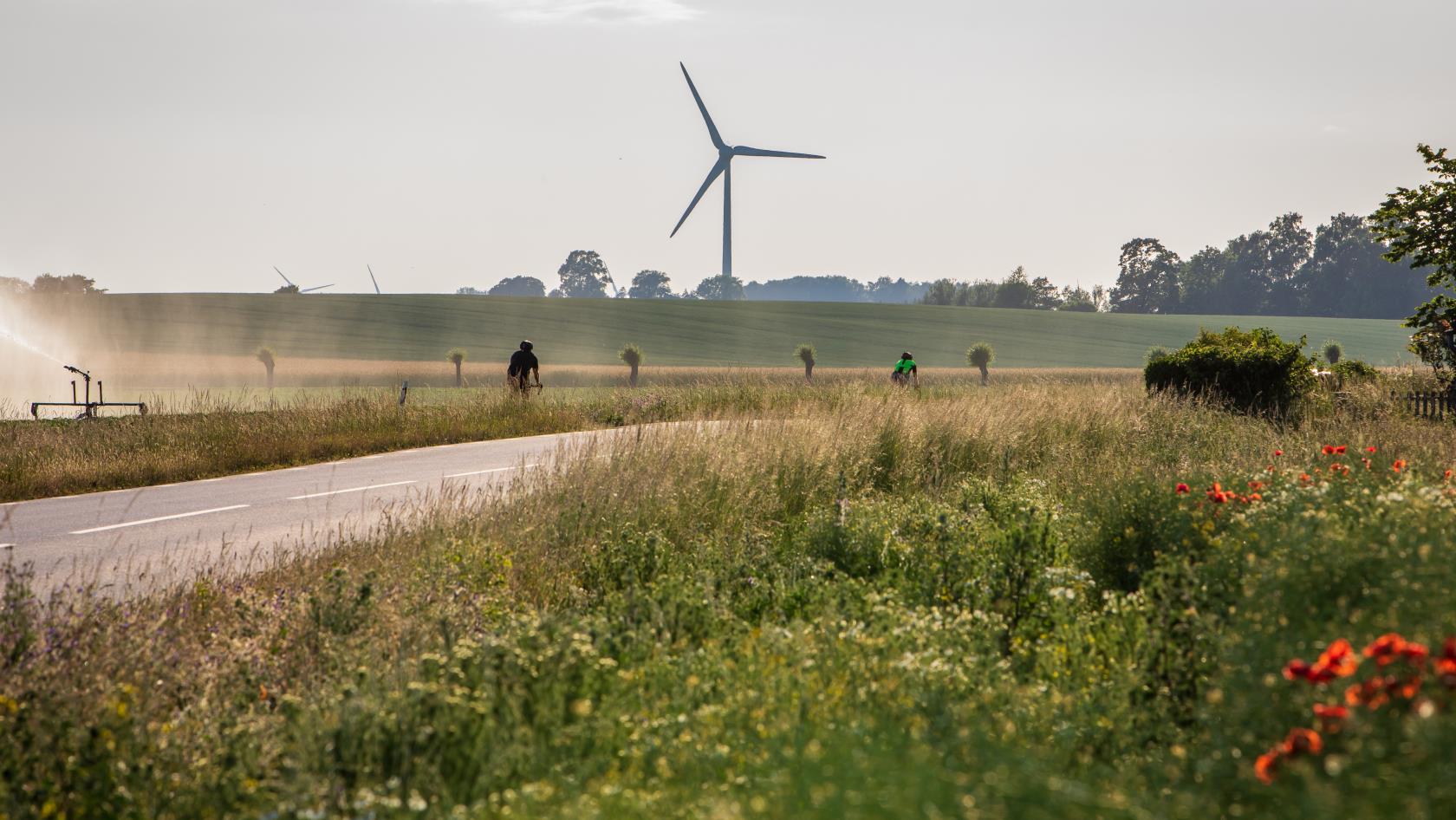 Ett åkerlandskap med en cyklist. Längre bort syns ett vindkraftverk.