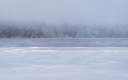 Vinterbild, sjö och skog.