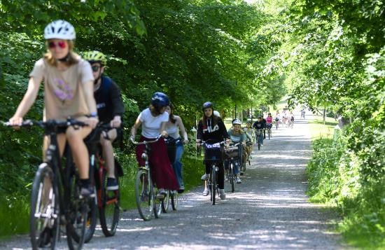 En lång rad med ungdomar som cyklar på en sommarväg.