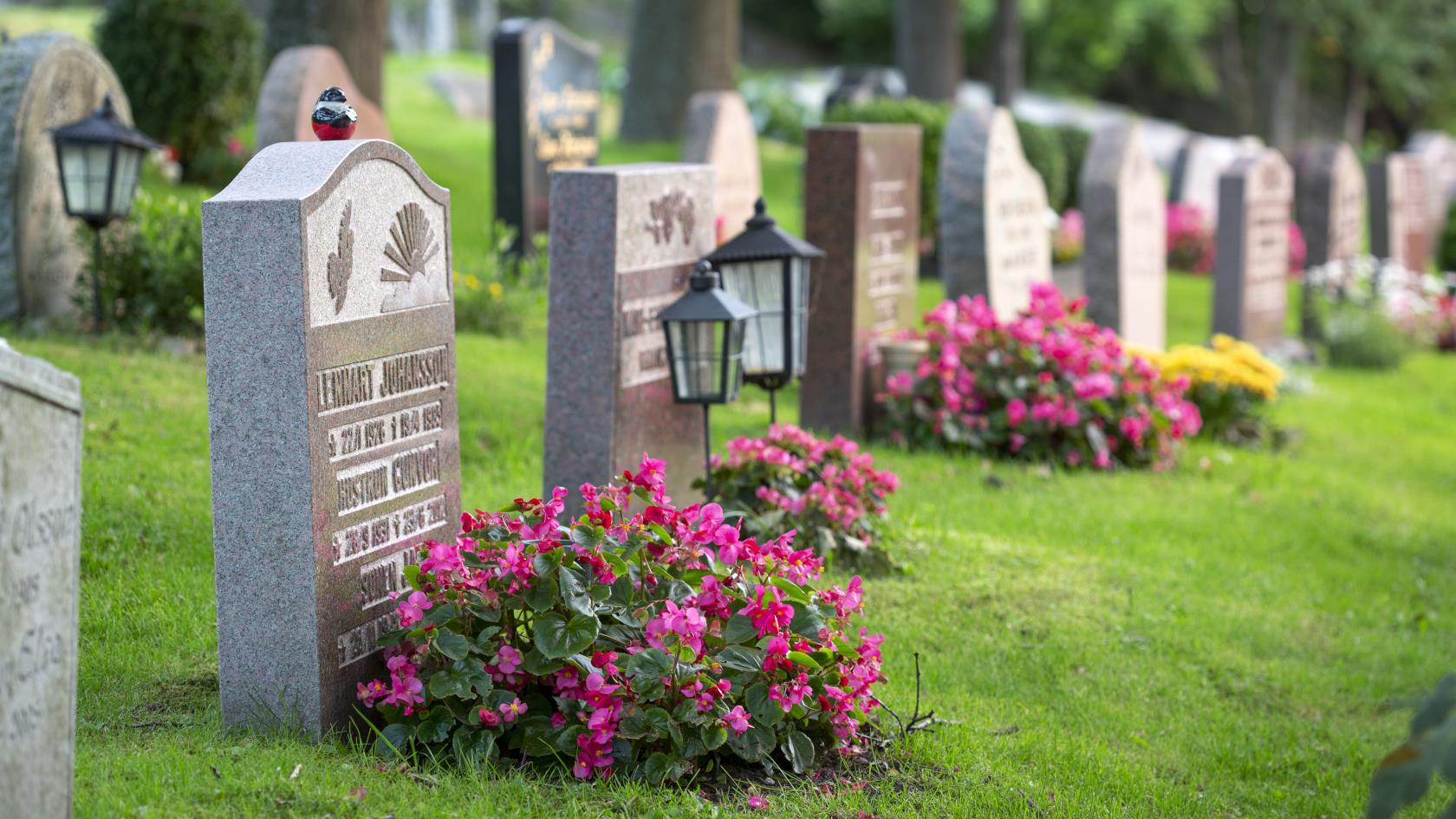 Gravar dekorerade med färggranna blommor på en kyrkogård.