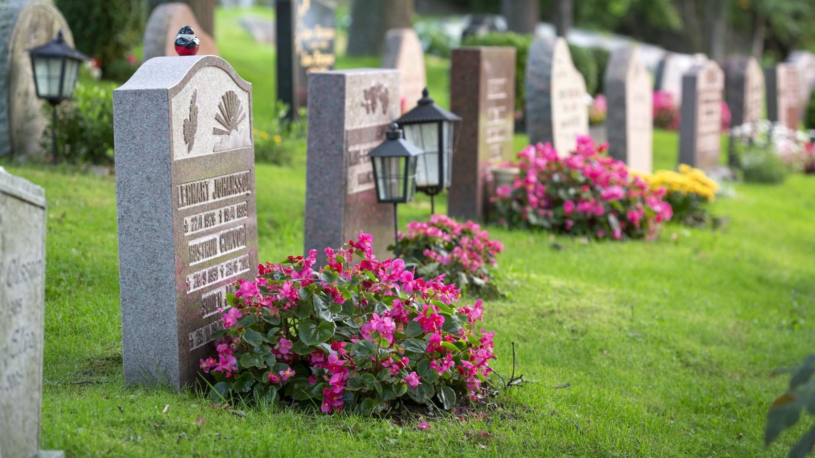 Gravar dekorerade med färggranna blommor på en kyrkogård.