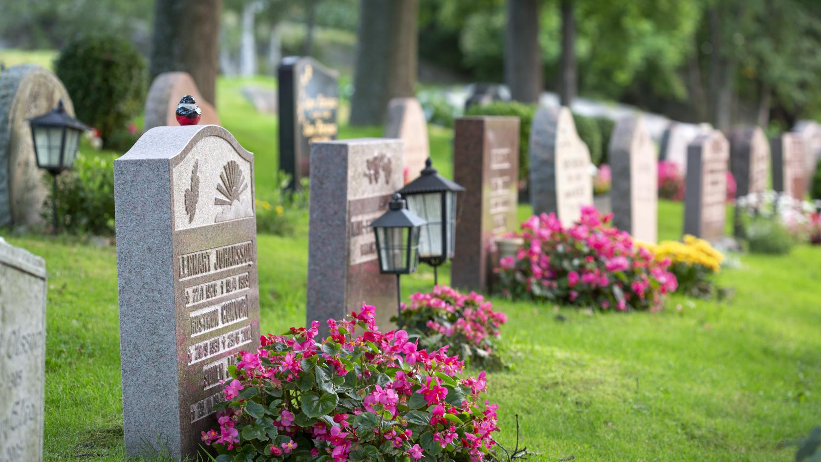 Gravar dekorerade med färggranna blommor på en kyrkogård.