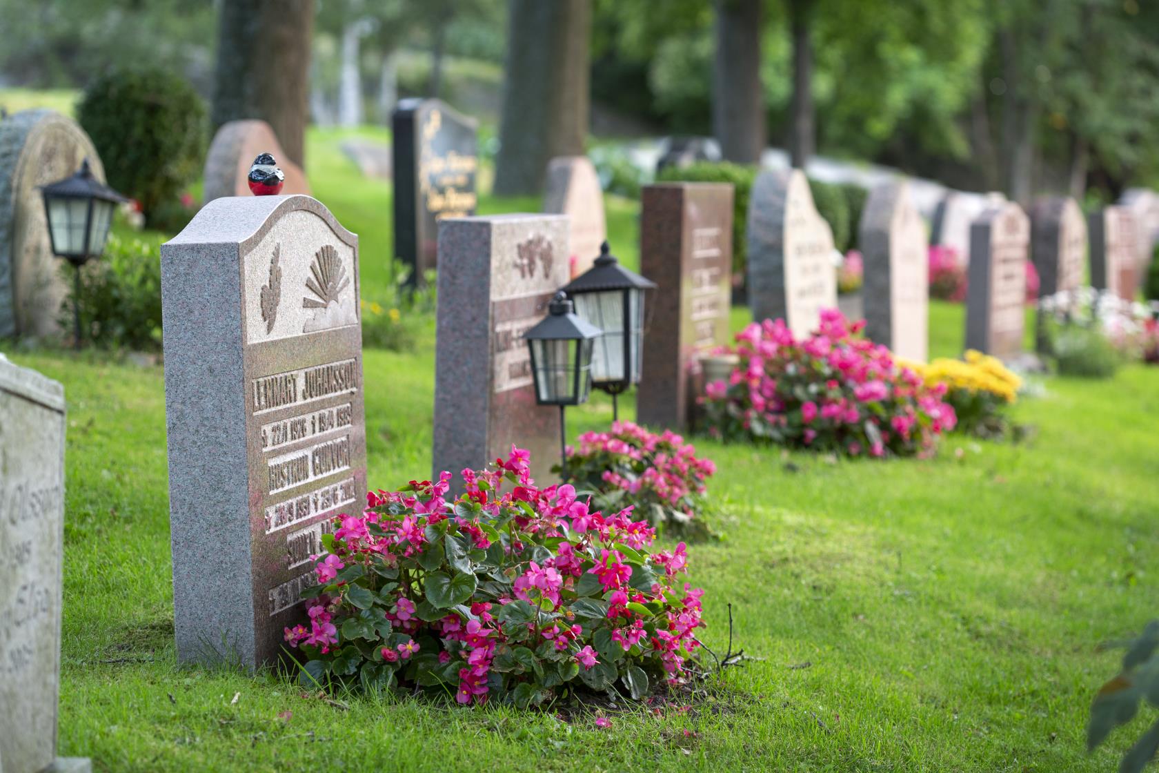 Gravar dekorerade med färggranna blommor på en kyrkogård.