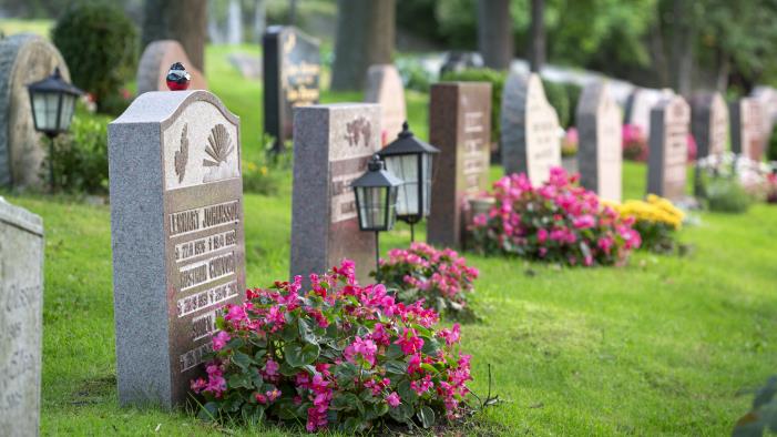 Gravar dekorerade med färggranna blommor på en kyrkogård.