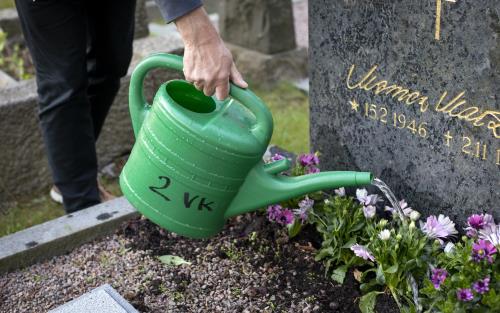 Någon vattnar blommorna vid en grav med en vattenkanna i grön plast.