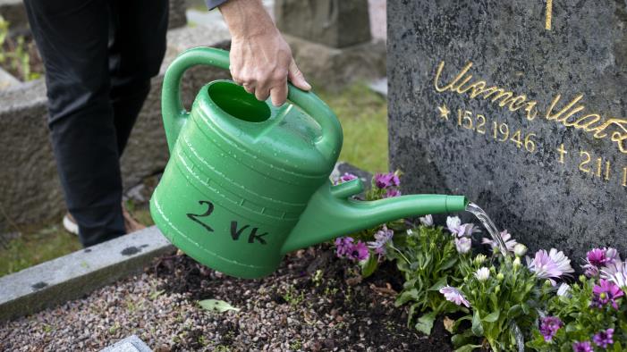 Någon vattnar blommorna vid en grav med en vattenkanna i grön plast.