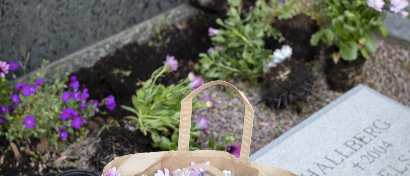 En person planterar blommor vid en grav.